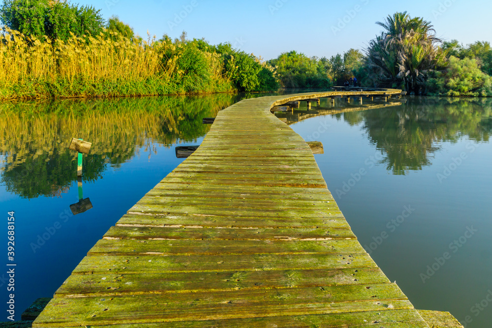 Elevated pathway over a pond, in En Afek nature reserve Elevated pathway over a pond, in En Afek nature reserve
