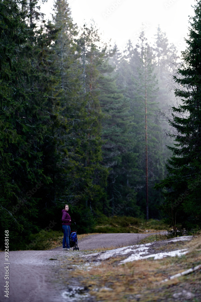 Fototapeta premium Family walk in the forest. 