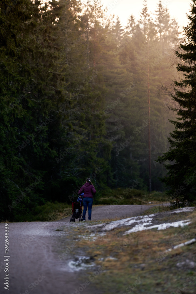 Family walk in the forest. Family walk in the forest.