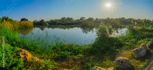Pond with an elevated pathway, in En Afek nature reserve