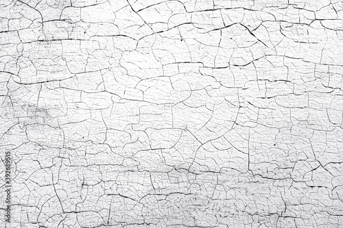 Old cracked white paint peeling off from wall texture background. Close-up detail of cracked paint.