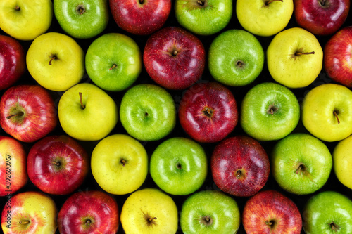 Grupo de manzanas de diferentes colores y variedades dispuestas en fila con vista cenital. photo