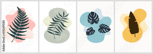 botanical illustration art wall poster design vector. vector graphics of tropical plants with minimalistic creative shapes on background. abstract silvhouettes of indoor plants