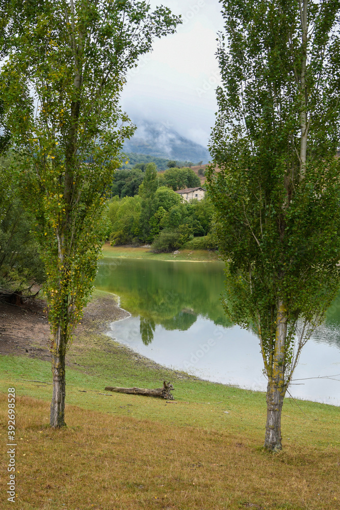 Obraz premium Poplars next to the Maroño reservoir