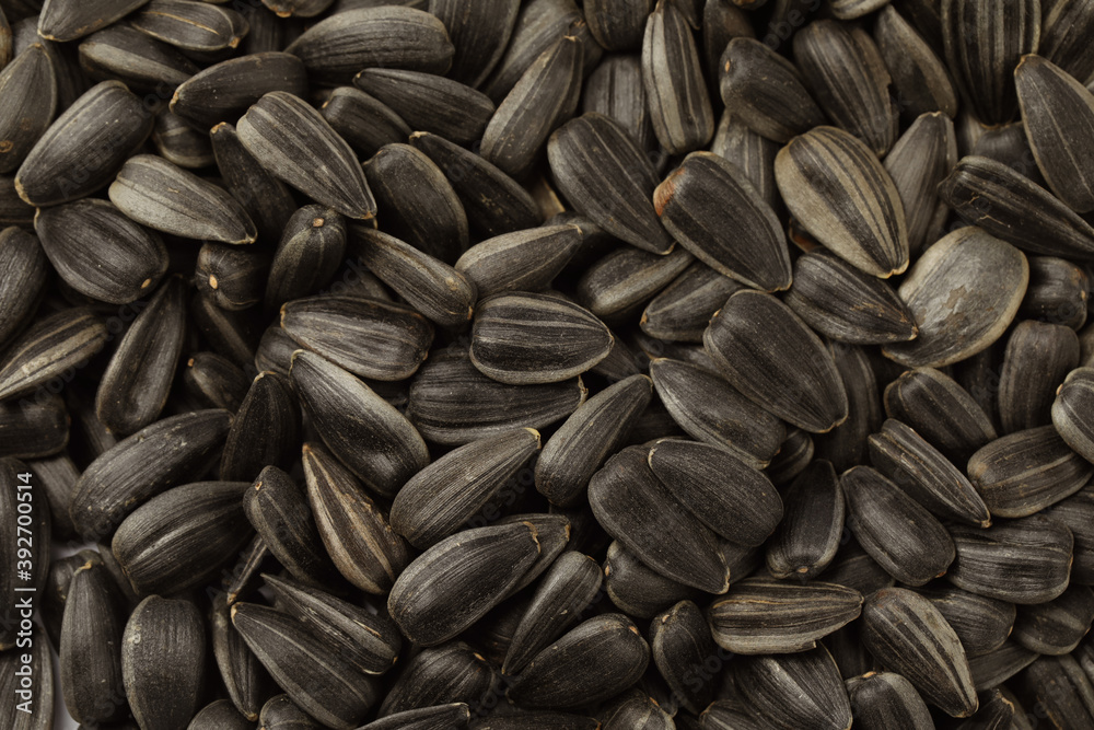 Raw sunflower seeds as background, top view Raw sunflower seeds as background, top view