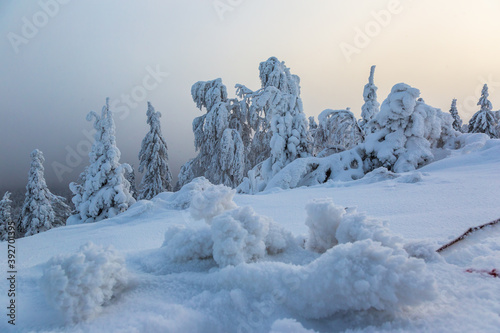 Fototapeta Naklejka Na Ścianę i Meble -  winter mountain landscape