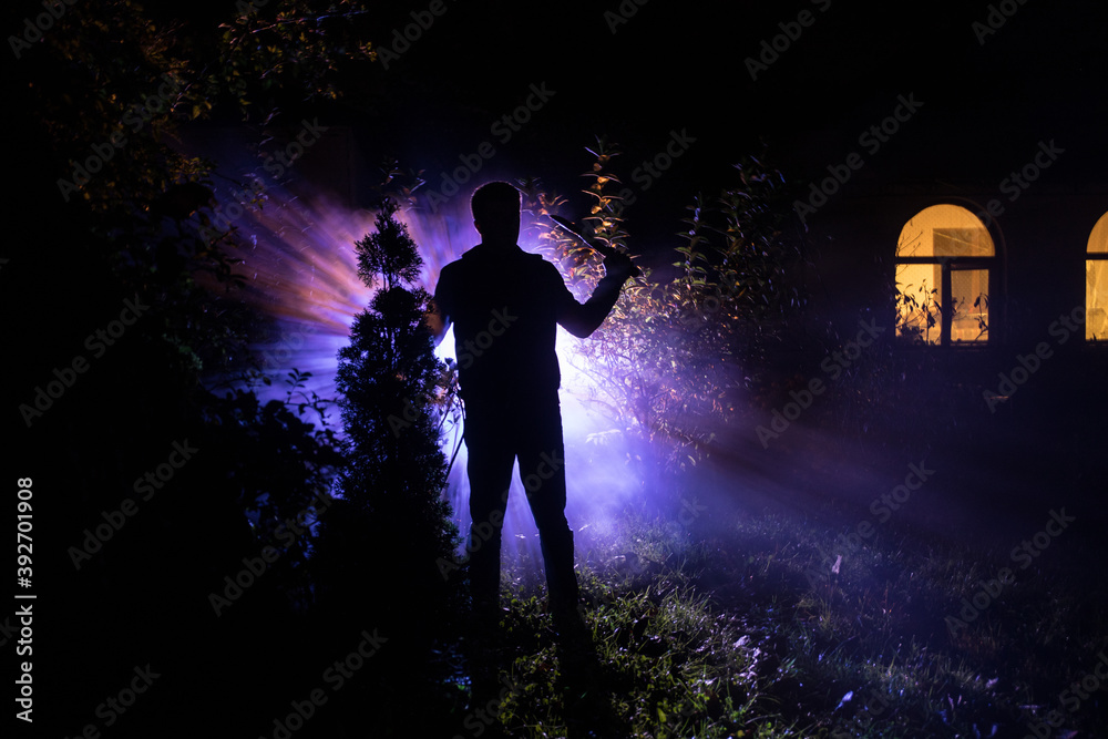 strange light in a dark forest at night. Silhouette of person standing in the dark forest with light. Horror halloween concept. strange silhouette in a dark spooky forest at night strange light in a dark forest at night. Silhouette of person standing in the dark forest with light. Horror halloween concept. strange silhouette in a dark spooky forest at night