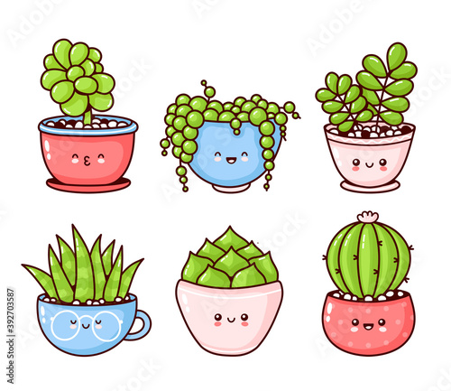 Cute happy funny succulents plants set collection