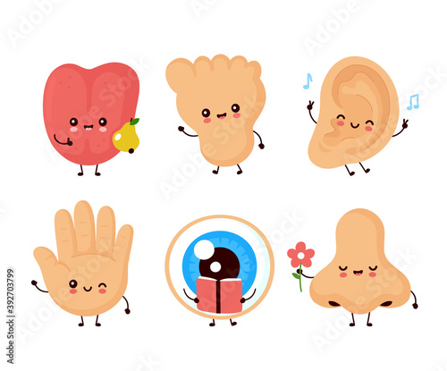 Cute happy human senses organ set
