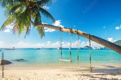 Fototapeta Naklejka Na Ścianę i Meble -  Beautiful tropical island beach with coconut palm trees and two swings, koh Tao, Thailand
