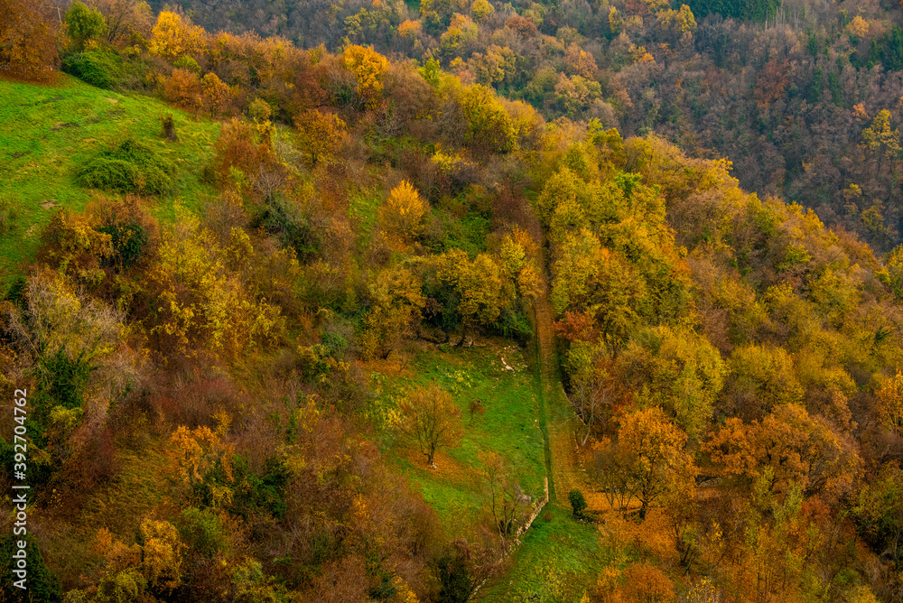 woods, meadows and hills in autumn
