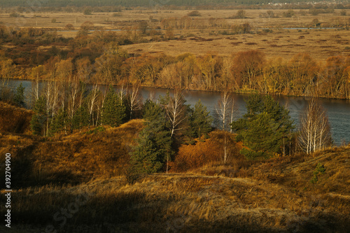 autumn in the forest