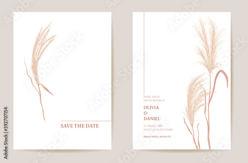 Minimal wedding invitation pampas grass boho card. Autumn watercolor template vector. Botanical Save the Date