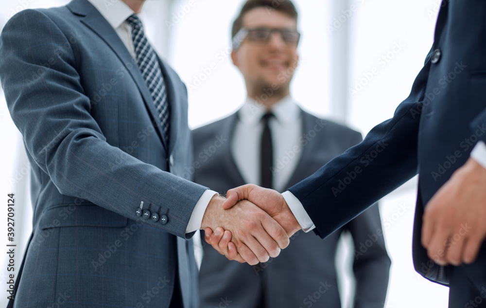 close up.welcome handshake of business people close up.welcome handshake of business people