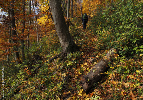 Wanderpfad, Herbstfärbung auf der Schwäbischen Alb photo