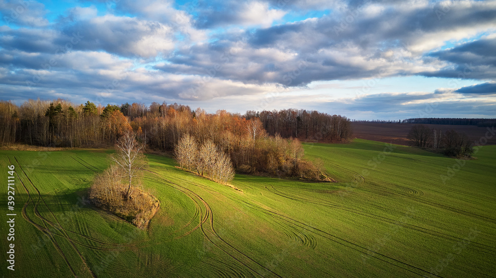 Agricultural light and shadow background. Tranquil farmland scene
