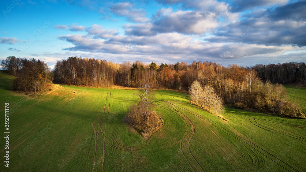 Picturesque November landscape. Rural Rolling Hills