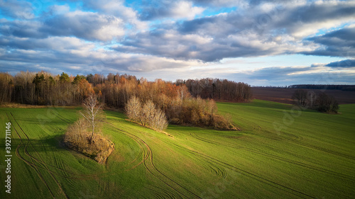 Obraz na płótnie Agricultural light and shadow background. Tranquil farmland scene w salonie