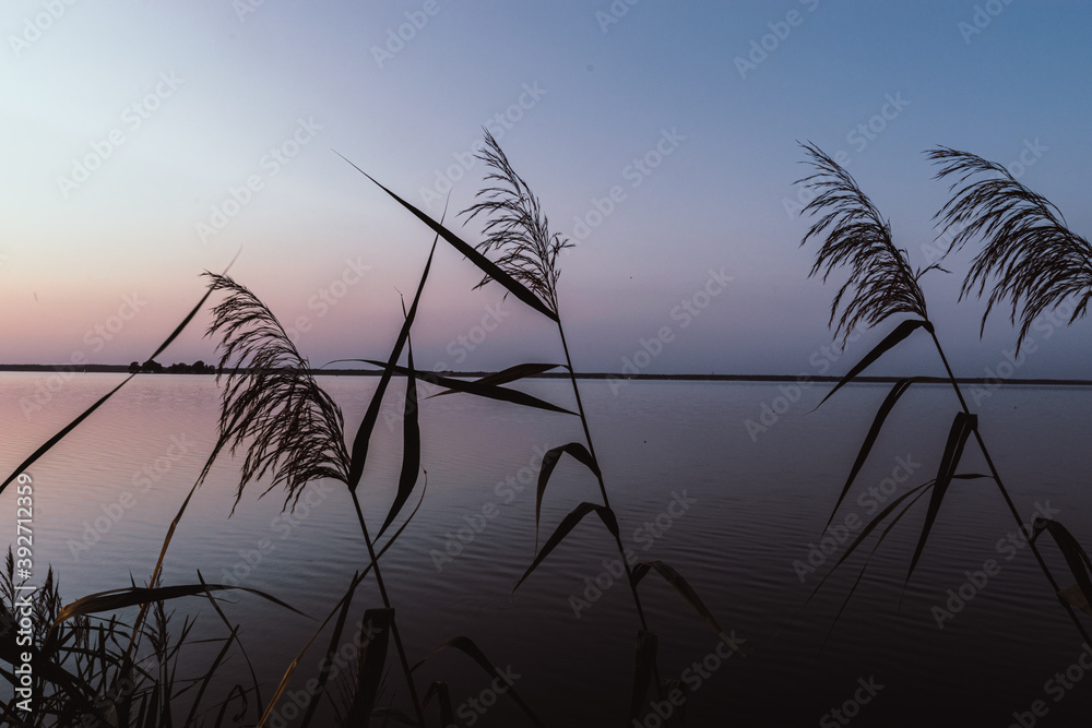 Fototapeta premium am Steinhuder Meer