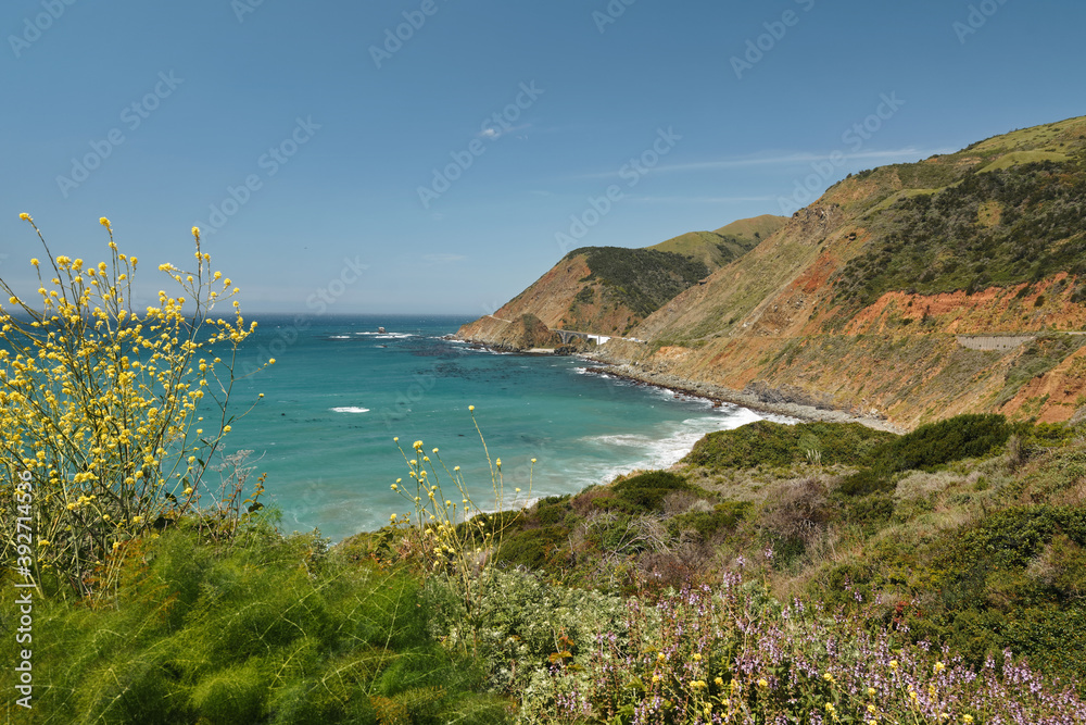 Big Sur, Monterey County, California. Pacific Ocean, cliffs, and native plants on the beach.