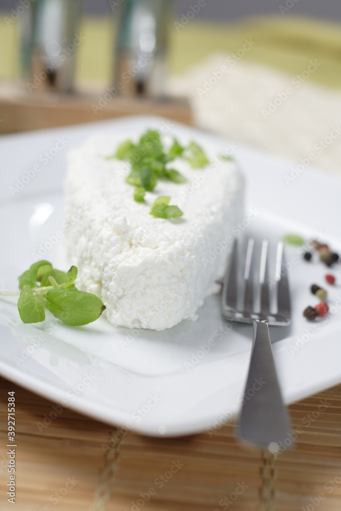 White Polish cheese White Polish cheese