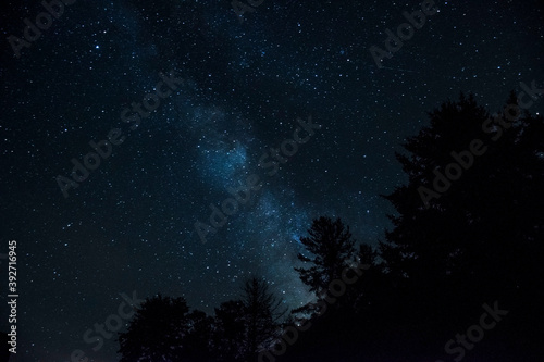 Milky Way Galaxy behind a silhouette of trees