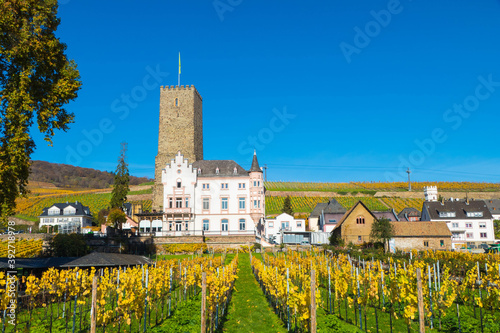 Rüdesheim am Rhein photo