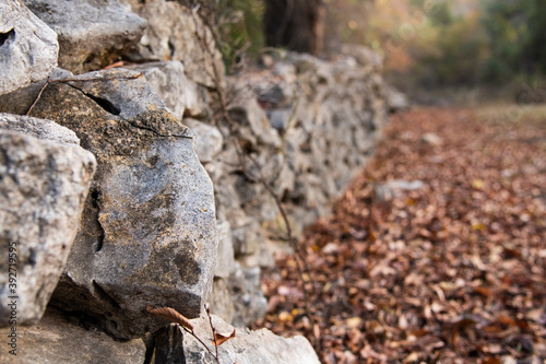 Fall Scene With Stone Wall