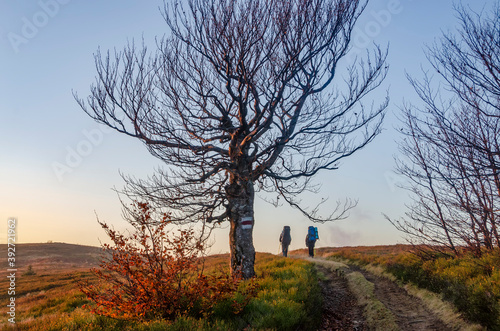 Two hikers with backpacks on the scenic mountain trail.