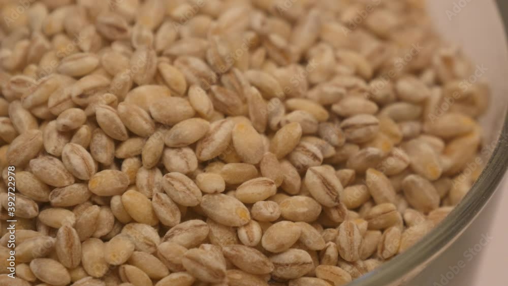 Healthy barley grains that can be seen in detail rotation Healthy barley grains that can be seen in detail rotation
