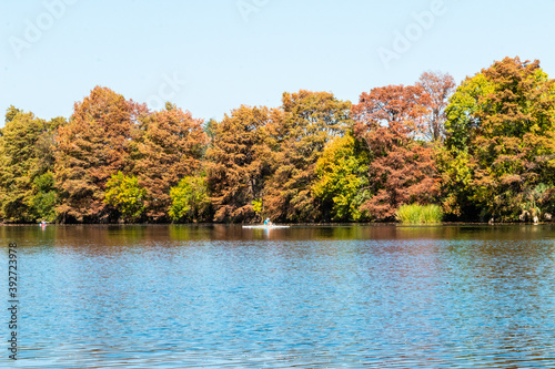 Sculling on LadyBird Lake Austin Texas in the Fall
