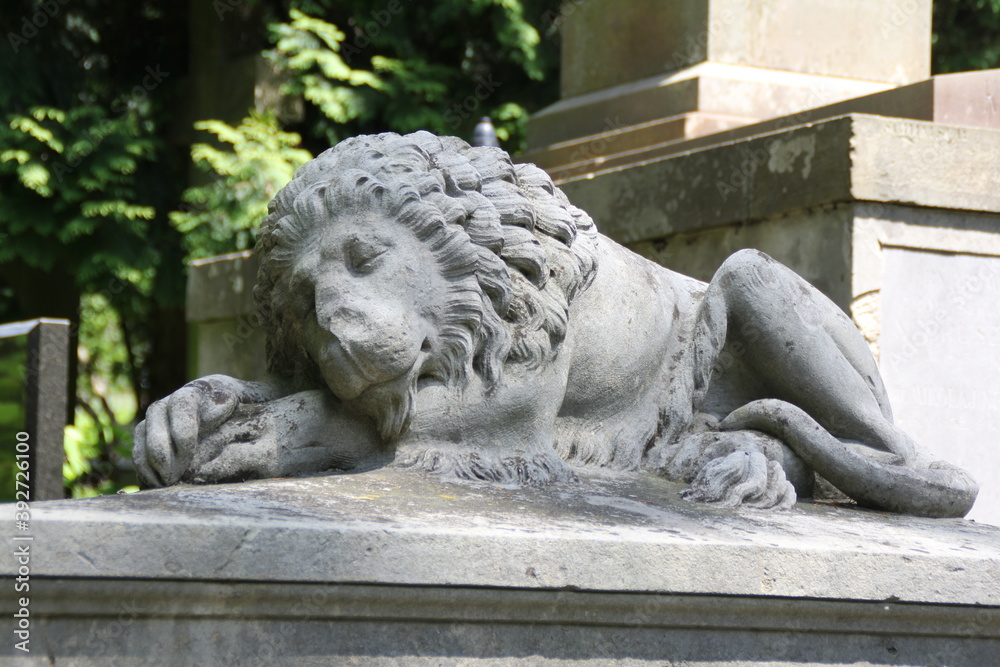 sleeping lion carved, sculpture, smile under his breath 