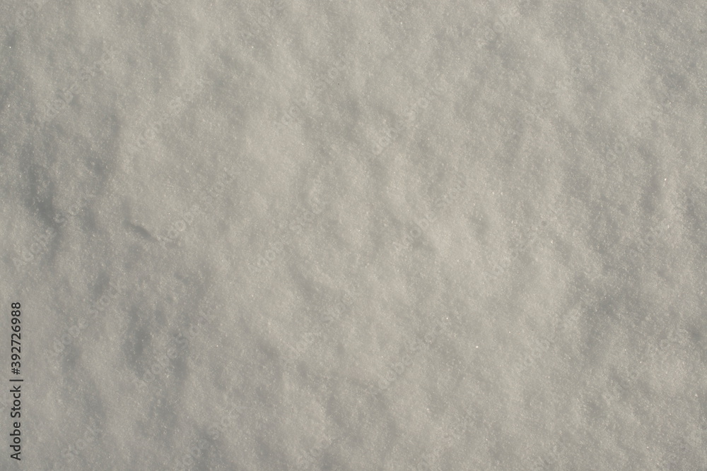 Obraz premium Fresh Fallen Snow