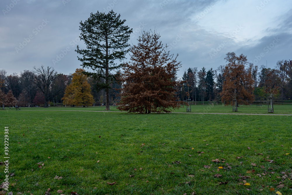 trees in the park in the city in autumn during the day and green grass
trees in the park in the city in autumn during the day and green grass
