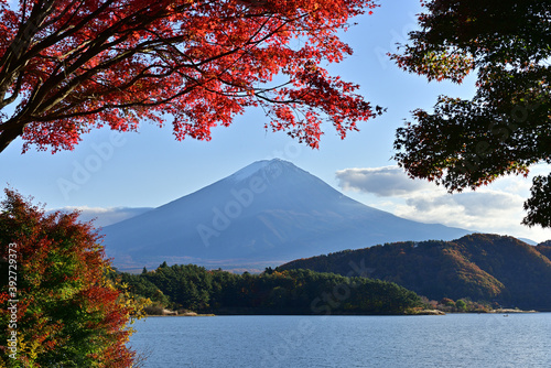 Enjoy the autum color leaves