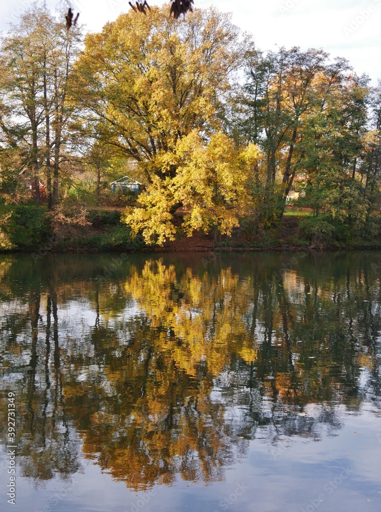 Herbstbäume spiegeln sich in der Alster