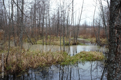 Nature  River  Landscape  Russia  Autumn.