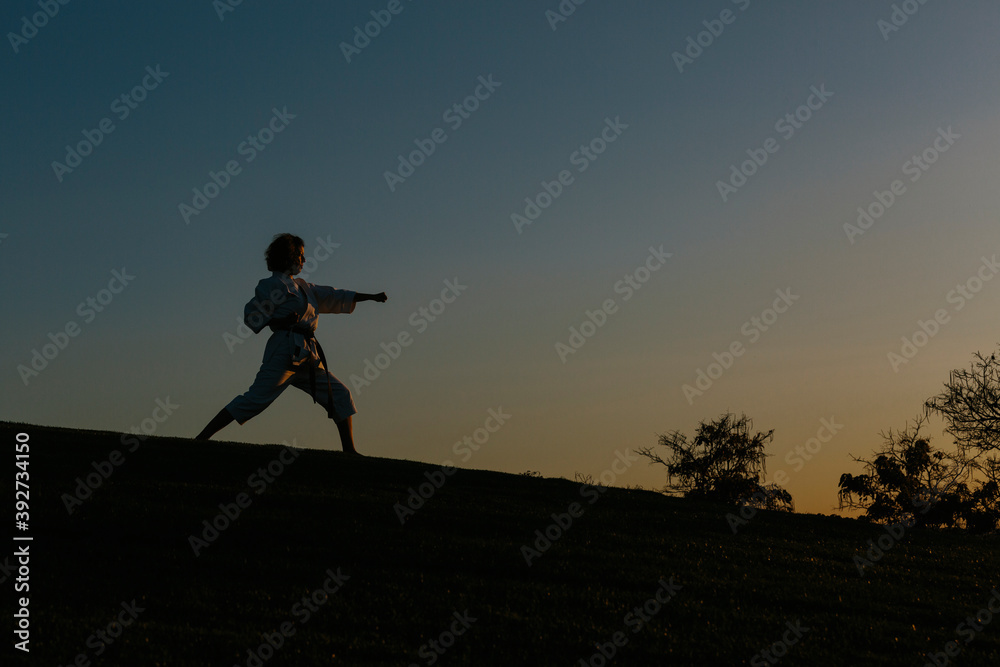 Silhouette of a karate woman, wearing a kimono, throwing a punch. Karate and martial arts concept. In a park and trees background. Image with copyspace