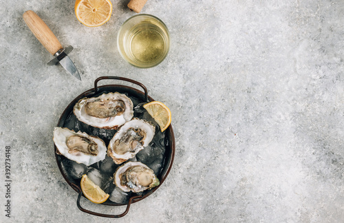 Fresh oysters with ice and lemon on a concrete background.