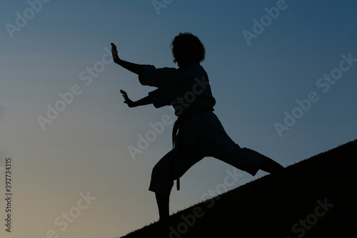 Silhouette of a karate woman, in attack position, wearing a kimono. Karate and martial arts concept. In a park background.