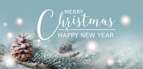 Merry Christmas and Happy New Year  -  Greeting Card - Xmas Card - Magic Snow Landscape with pine cones