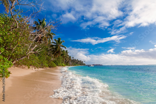 Fototapeta Naklejka Na Ścianę i Meble -  beautiful Island heaven palms nature ocean sea