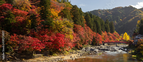 Colourful forest of Korankei in Japan