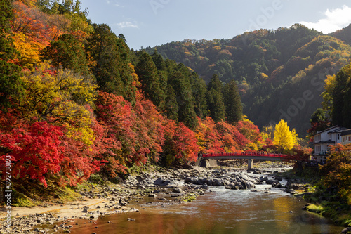 Colourful forest of Korankei in Japan