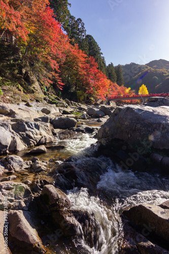 Colourful forest of Korankei in Japan