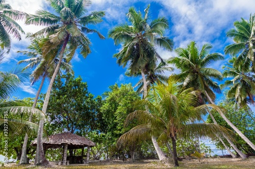 beautiful Island heaven palms nature ocean sea