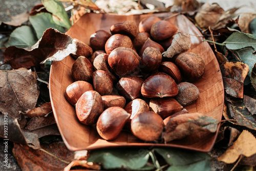 Raw chestnuts in wooden dish surrounded with dry leaves. Autumn vibes