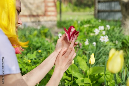 Green spring background, woman hand with tulips flowers in spring garden