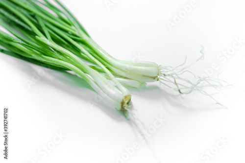 Spring onions isolated on a white background. fresh green onions isolated on white background. Top view