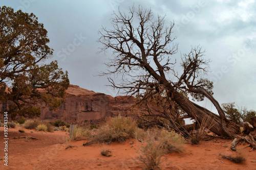 Obraz na płótnie Monument Valley, Utah w salonie